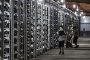 Large scale mining farm